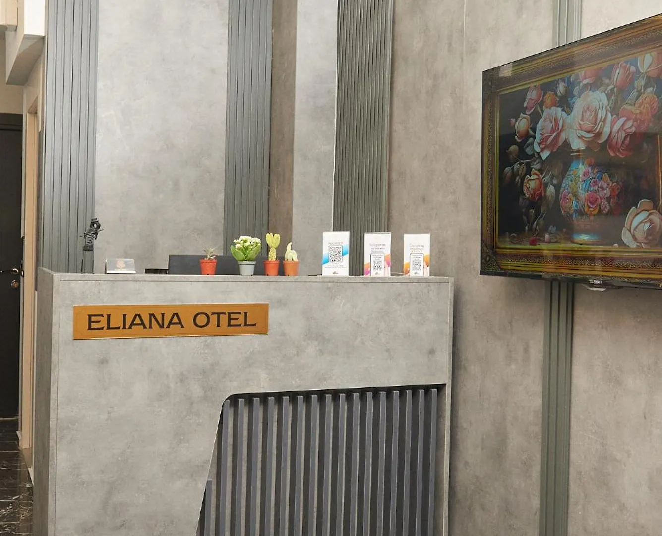 Aparthotel Taksim Eliana Hotel Istanbul